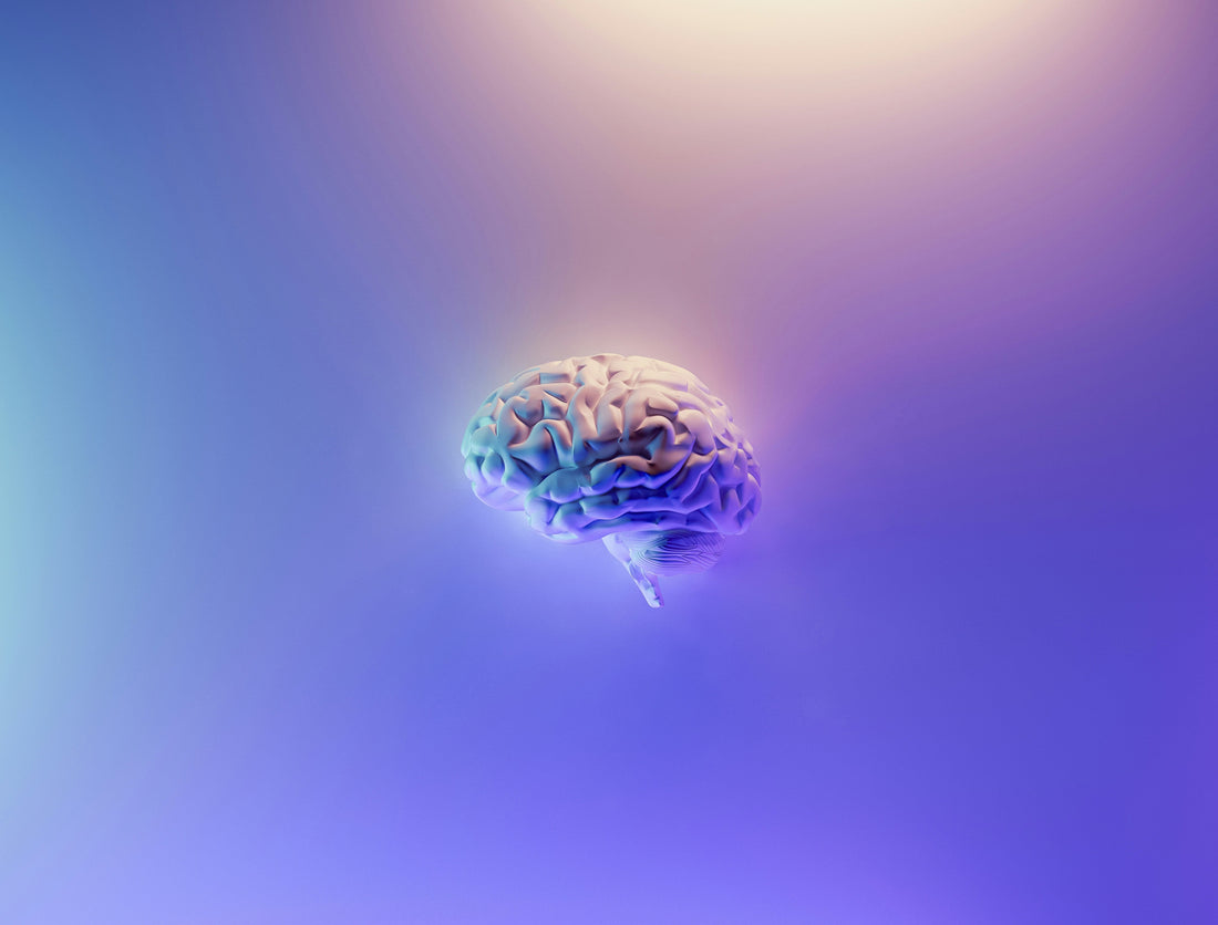 Compléments alimentaires et maladies neurologiques : que peut-on vraiment attendre ?